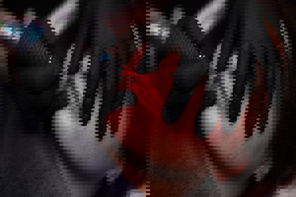 sample